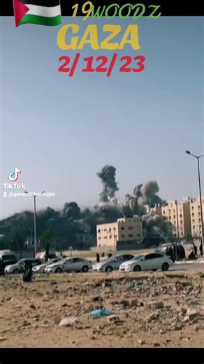 6.3K views · 566 reactions | General Checkup Turkey on Reels | Facebook