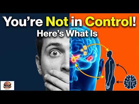 Control Systems of the Human Body Explained | Homeostasis Made Simple