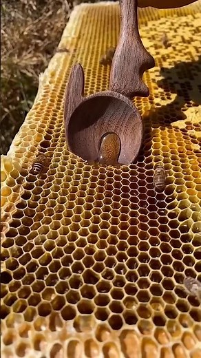 How a Wooden Honey Dipper Works 🍯