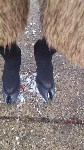 Custom Hooves for Winter Fun: Stomp Off the Snow!