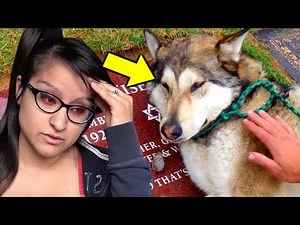 6 YouTubers SADDEST MOMENTS on Camera! (Aphmau, DanTDM, MrBeast)