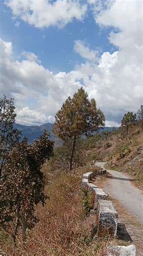 Bhama Dei 💖 | New Pahadi Song 2026 | Ram Kaushal Hit #pahadisong #shortsfeed #newrelease