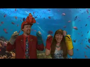 Simersong #7 Wonder in Me (The Muscle Contraction Song)