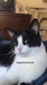 𝙂𝙤𝙡𝙙𝙚𝙣𝙝𝙖𝙖• on Reels