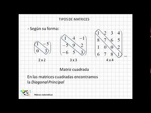 02 Tipos de matrices
