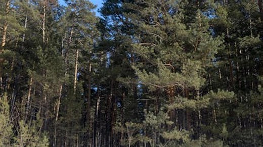 Top 10 U.S. Cities in West Virginia Most Affected by Climate Change