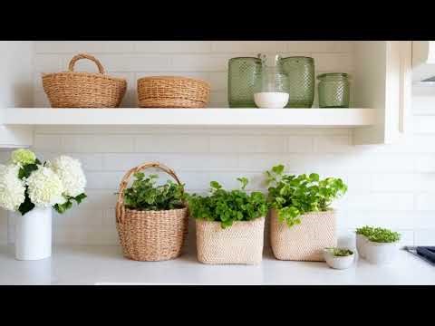 Reimagining a Parisian Bistro: Small Kitchen Transformation with Effortless Charm