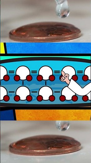 Penny Surface Tension #science #diy #teamkailyn