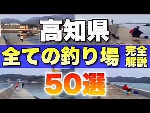 【保存版】高知の釣れる釣り場50選‼︎釣果情報、車横付け、穴場スポット、家族釣り、トイレ有無、駐車場有無、初心者、1本にまとめて解説‼︎#釣り #釣魚 #おすすめ #高知 #四国