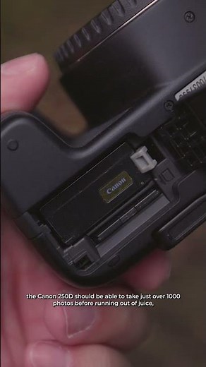 How Good Is Their Battery Life? Canon 250D vs Canon 77D