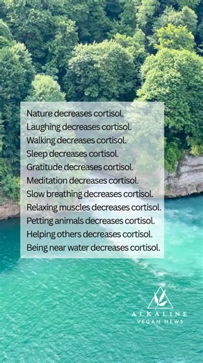 Feeling stressed? You can naturally lower cortisol—the stress hormone—through simple habits. 🌿 Take a walk, spend time in nature, laugh often, rest well, breathe slowly, and practice gratitude. Meditate, help others, or sit by the water. Small daily actions can calm your mind and body. ✨ | Alkaline Herb Shop