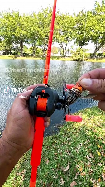 Urban Florida Fishing: Orange Radioactive Baitcaster Cicada Cast