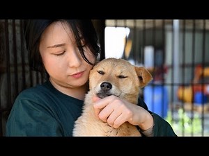 Podcast: The future we're building for animals