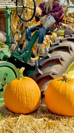 Scarecrows ✔️ Pumpkin House ✔️ Southern comfort food ✔️ Your perfect fall day at The Old Mill awaits! 🍂 | The Old Mill