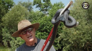 106 reactions · 28 shares | Sign up for a snake handling & snakebite first aid course. Our informative curriculum comprehensively covers snake awareness, identification, myths, first aid for snakebite, and safe handling techniques to remove and relocate venomous snakes. Early booking is essential! | African Snakebite Institute | Facebook