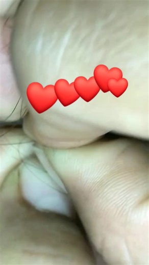 as they please 😊 | A A Bening