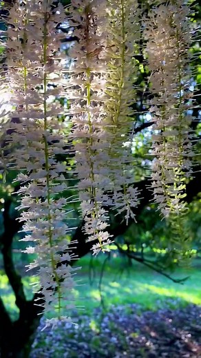 2.3K views · 11 reactions | Spring has arrived for many of...