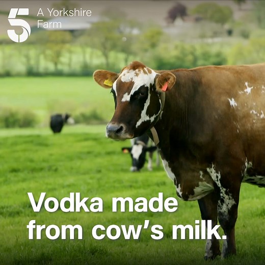 Wait, you can make vodka from cow’s milk? 🤯 JB Gill follows the process from grass to glass - amazing! 🐮🍸 📺 A Yorkshire Farm, Thursday 7pm | Channel 5