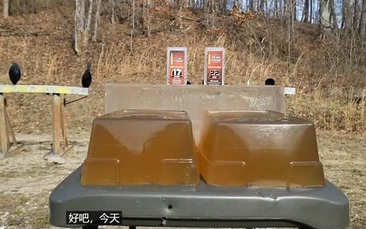 Hornady V-Max.17 HMR vs.22 WMR 22 Magnum弹道凝胶测试