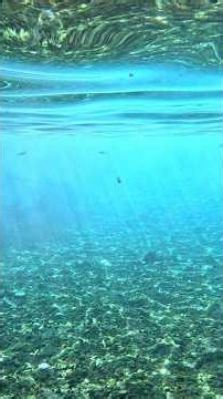 Piula Cave Pool Samoa #islandlife