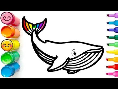 Drawing and Coloring an Adorable Whale | Easy Step by Step Tutorial for Beginners