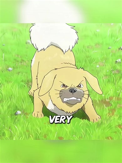 Terrifying Encounter with a Bear and Wolves