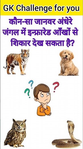GK Questions❤️‍🔥🤔||GK Questions and Answer😱💥||GK in Hindi🙄💯|| #mcqncert #mcqsseries#gkquestions #mcq