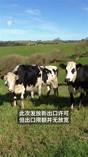 中国扩大澳洲牛肉出口许可 或与国内口蹄疫疫情有关 |SBS中文
