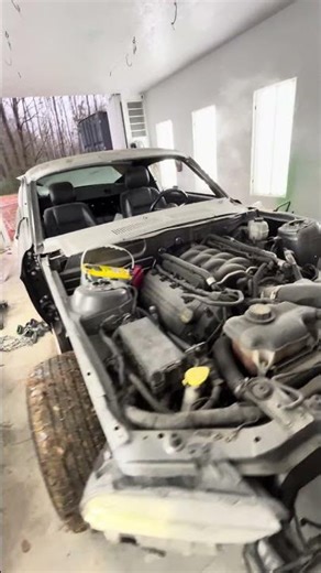 Bodyswap 1967 mustang #1967mustangfastback