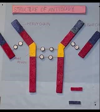 Simple and Smart Science Models for Exhibition | Must Try!