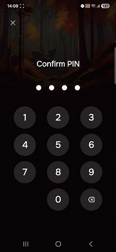 Lock Your Diary App 🔐 Daytiko Password Setup