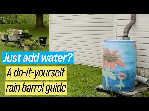 Build your own rain barrel | Year-Round Gardening | garden tips