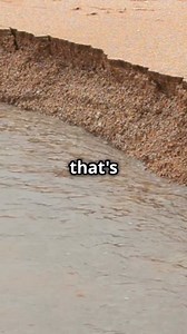 Unlocking the Secrets of Water Revitalization! www.naturalaction.com | Natural Action Technologies