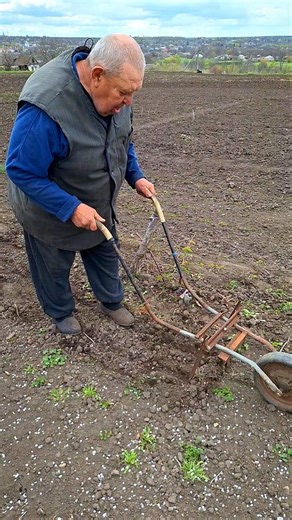 Wheel Hoe in Action #diy #gardenwork #weedremoval #organicgardening #sustainablegardening #shorts
