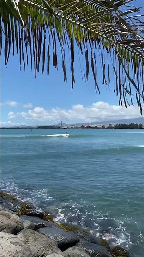 本日の #ハワイ をご紹介！ #マウイ島 #カフルイハーバー #サーフィン #ビーチ #kahuluiharbor #beach #surf #maui #hawaii #shorts