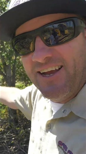 1970 Gradall Stuck down to the frame!