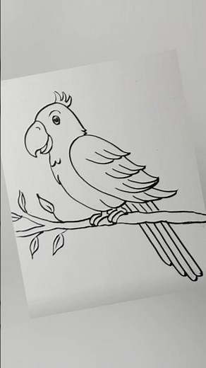 Simple Parrot Drawing | Easy Bird Art for Beginners #art #birds #parrot #reels #drawing #sketch