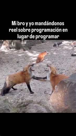 niegalo xd #coding #memes #coding #humor #java #parati #comedia #dev #code #ia #programming #coding