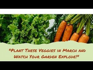Spring Gardening: Top Veggies to Plant in March