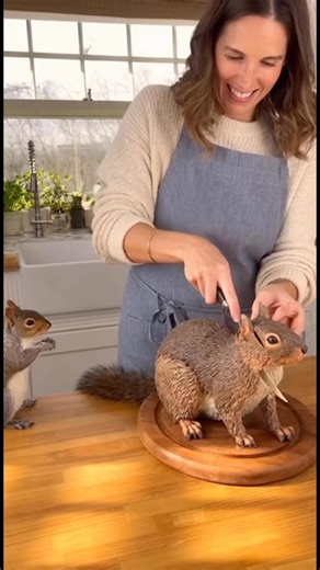 Squirrel Loses It Over Squirrel-Shaped Cake! 😂🐿️ #SquirrelTok #FunnyAnimals #Shorts | Sandridge David Kyle