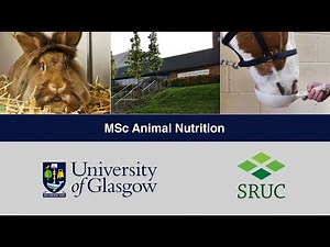 Animal Nutrition - MSc/PGDip/PGCert