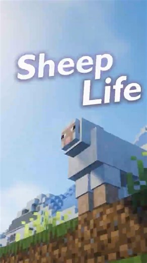 The Life of a Minecraft Sheep 🐑 #minecraft #asmr