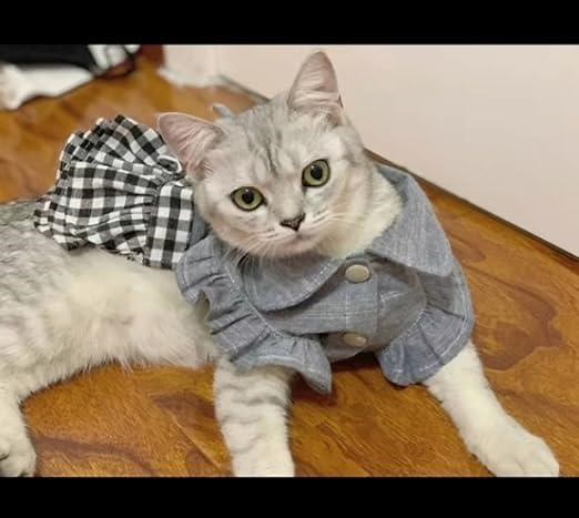 Very cute and well made little dog dress