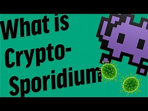 What is Cryptosporidium?