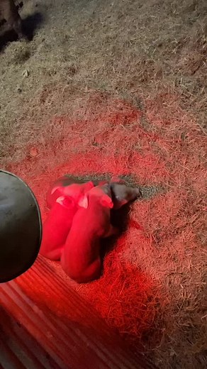 Stephen Harmon on Reels | Facebook