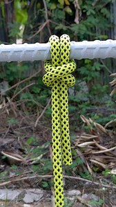 It's called a bull Hitch. #masterknots #knots #stringlinehitch #paracord #rope #reels #Bowline #SmartTip #clovehitch | Knot Builder