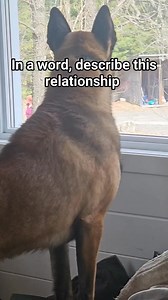 300,000 followers 💯 Describe me the bond of me and Jackson Décrivez-moi la complicité de moi et Jackson | Tommy Gauthier