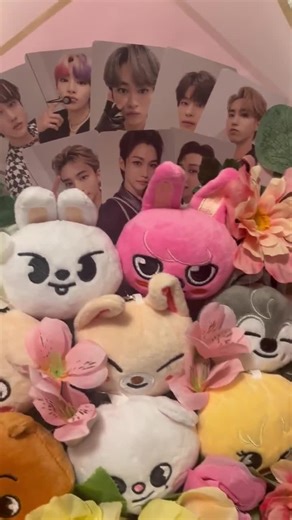 Stray Kids Plush Bouquet KPOP - Etsy