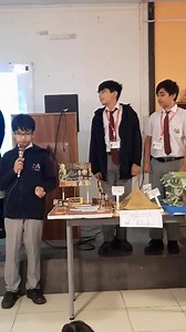 The Avicenna School on Reels