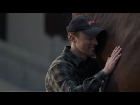 Budweiser Clydesdale Commercial - Super Bowl 2013
